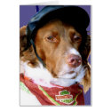 dogs cards