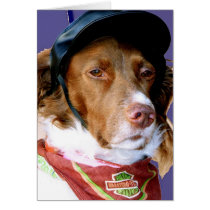 dogs cards by yianna dogs cards