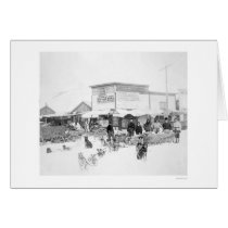Dogs Carrying Food Alaska 1924 cards