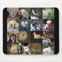 Dogs!Dogs!Dogs! photo collage mousepad