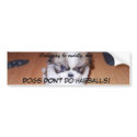 Dogs DON'T do hairballs! bumper stickers by Absisback Dogs DON'T do hairballs! bumper stickers