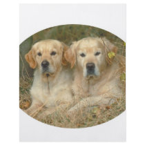 Dogs flyers by Nikaksa Dogs flyers
