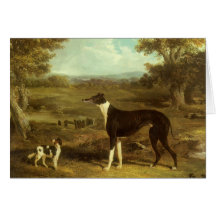 Dogs, Greyhound and Spaniel; Doctor Fop by Herring Greeting Card