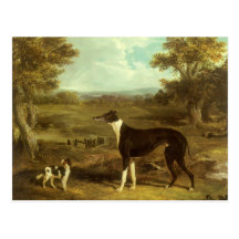 Dogs, Greyhound and Spaniel; Doctor Fop by Herring Post Card