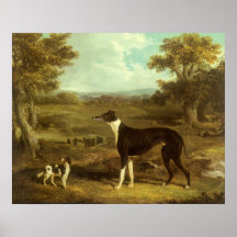 Dogs, Greyhound and Spaniel; Doctor Fop by Herring Poster