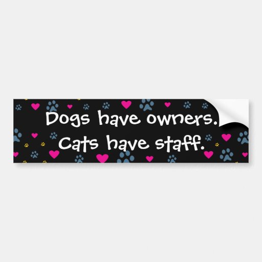 Dogs Have Owners-Cats Have Staff Car Bumper Sticker | Zazzle