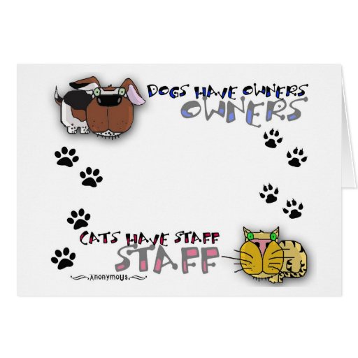 Dogs Have Owners Cats Have Staff Card | Zazzle