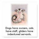 Dogs have owners, cats have staff, glider... posters