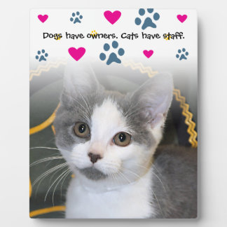 Funny Sayings Photo Plaques Zazzle