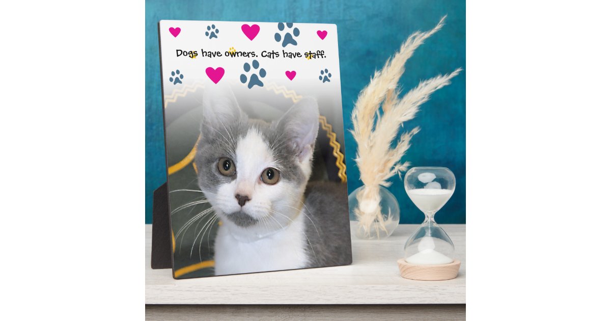 Dogs Have Owners Cats Have Staff Sign Dogs Have Owners Cats Have Staff Sign