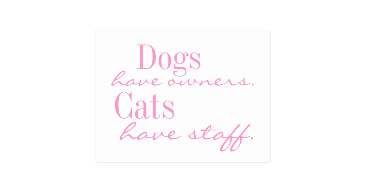 Dogs have owners. Cats have Staff. Postcard | Zazzle