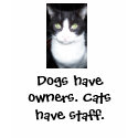 Dogs have owners. Cats have staff. T shirt