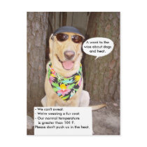 Dogs & Heat postcards by myrtieshuman Dogs & Heat postcards