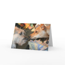 Dogs in love cards