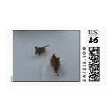 dogs in snow postage