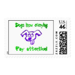 Dogs Know Everything postage
