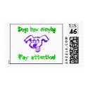 Dogs Know Everything postage