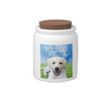 Dogs leave paw prints on your heart candy jars