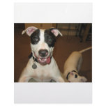dogs letterhead design