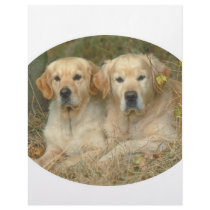 Dogs letterhead by Nikaksa Dogs letterhead