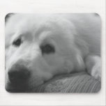 Dog's Life Mouse Pad