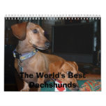 dogs looking away, The World's Best Dachshunds Wall Calendars