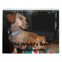 dogs looking away, The World's Best Dachshunds Wall Calendars