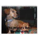 dogs looking away, The World's Best Dachshunds calendars by spinnerlady dogs looking away, The World's Best Dachshunds calendars