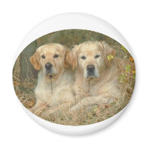 Dogs magnets by Nikaksa Dogs magnets