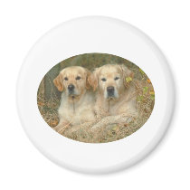 Dogs magnets by Nikaksa Dogs magnets