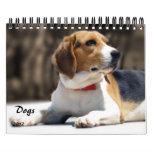 Dogs: Man's Best Friend 2012 Calendar