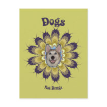 Dogs Not Drugs Postcards