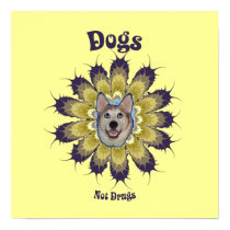 Dogs Not Drugs Print