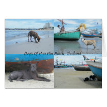 Dogs Of Hua Hin Beach, Thailand cards