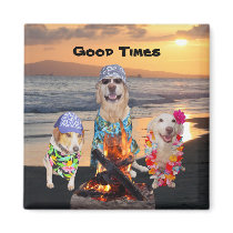 Dogs on the Beach at Sunset magnets