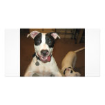 dogs customized photo card