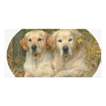Dogs photo cards