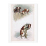 "Dogs playing Snowballs" Vintage Postcard