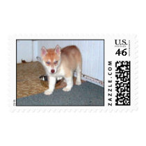 Dogs postage by higgins01 Dogs postage