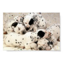 dogs posters by auburnchik10109 dogs posters