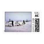 Dogs resting, Churchill, Manitoba Stamps
