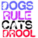 DOGS RULE CATS DROOL petshirt