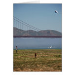 Dogs Running and Kite Flying in San Francisco cards
