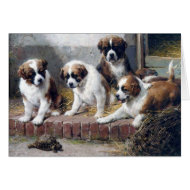 Dogs Saint Bernard puppies turtle farm card