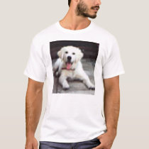 Dogs t-shirts