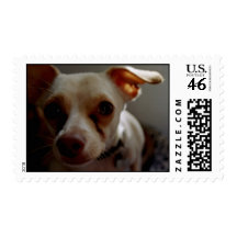 Dogs Stamp