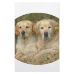 Dogs Stationery Paper