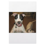 dogs personalized stationery