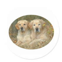 Dogs stickers by Nikaksa Dogs stickers