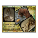 DOGS - THINGS THAT MAKE ME LAUGH - POSTER posters
